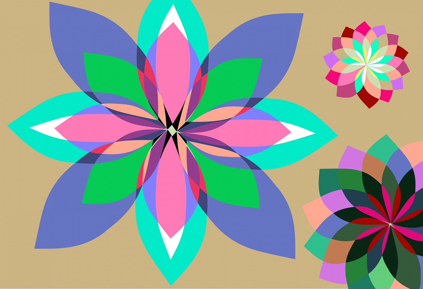 Dane Albert, Floral #5, 2023
Acrylic on canvas (Concept), 48 x 72 in. (121.9 x 182.9 cm)
Series of colored lines and shapes in multiple configurations
DA.2023.floral-005