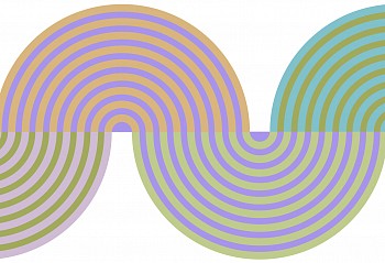 Dane Albert - C O L O R  S H A P E S: Shapes #48, 2024